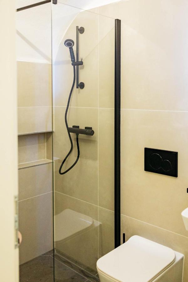 לובליאנה Vila Jakopic Apartments מראה חיצוני תמונה